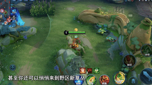 6元限定皮肤返场,T0打野变动引热议!