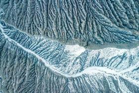 雪落新疆,大地之树惊艳亮相