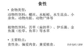 范惜心